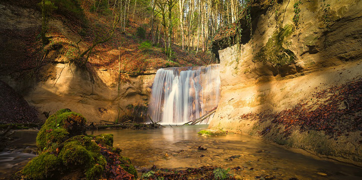 Los horóscopos y sus elementos